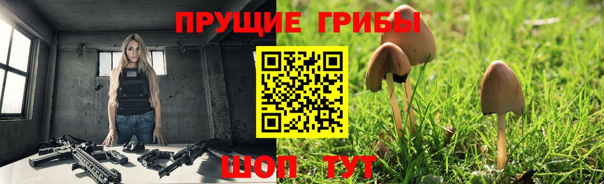 Alpha PVP СОЛЬ кристаллы  ГАШИШ  Брянск  Мефедрон   Вход с VPN 